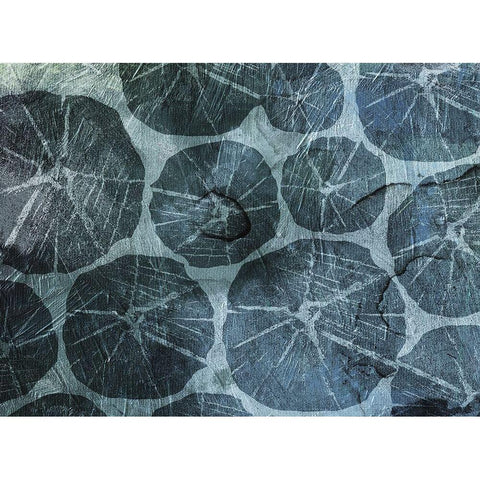 Muted Shells Black Modern Wood Framed Art Print with Double Matting by Grey, Jace