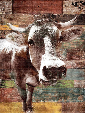 Cow With Multi Wood White Modern Wood Framed Art Print with Double Matting by Grey, Jace