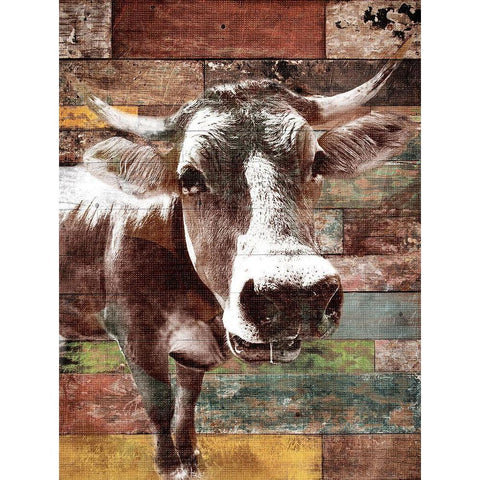 Cow With Multi Wood Black Modern Wood Framed Art Print with Double Matting by Grey, Jace
