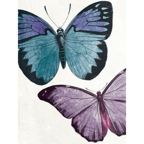 Butterfly High One Black Modern Wood Framed Art Print with Double Matting by Grey, Jace