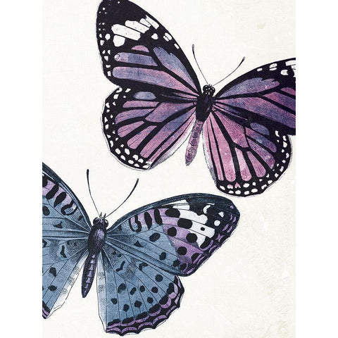 Butterfly High Three Black Modern Wood Framed Art Print with Double Matting by Grey, Jace