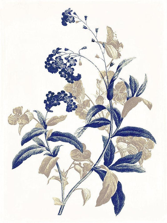 Image Only