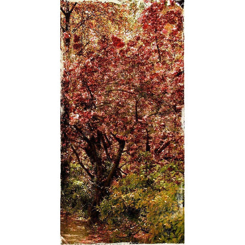 Ny Fall Trees White Modern Wood Framed Art Print by Grey, Jace