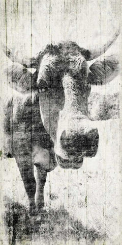 Vintage Cow White Modern Wood Framed Art Print with Double Matting by Grey, Jace