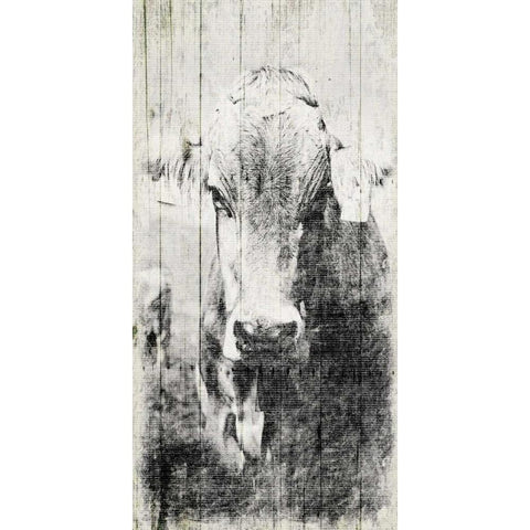 Vintage Cow Mate White Modern Wood Framed Art Print by Grey, Jace