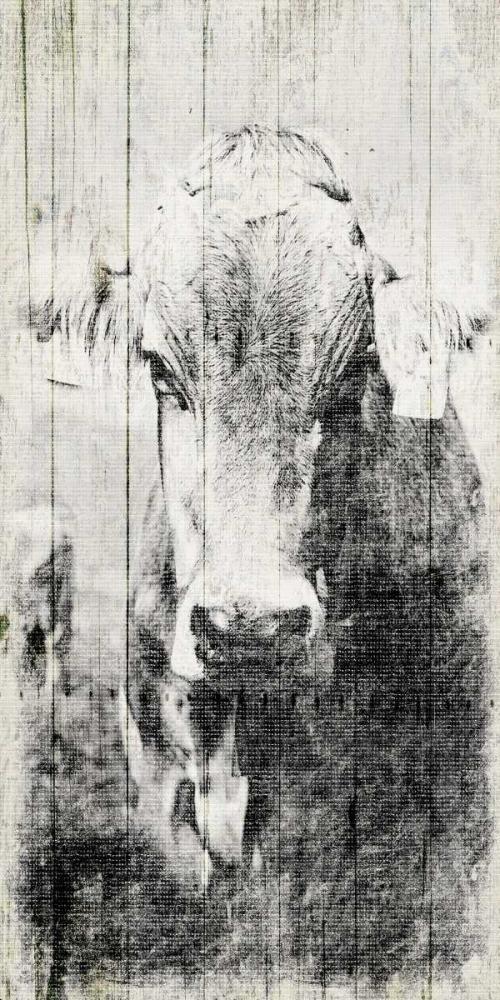 Image Only