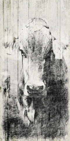 Vintage Cow Mate White Modern Wood Framed Art Print with Double Matting by Grey, Jace