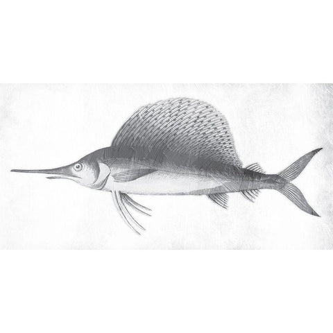 Grey Sword Fish White Modern Wood Framed Art Print by Grey, Jace