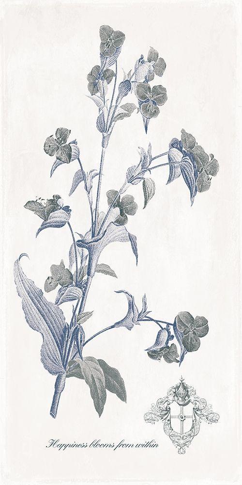 Image Only