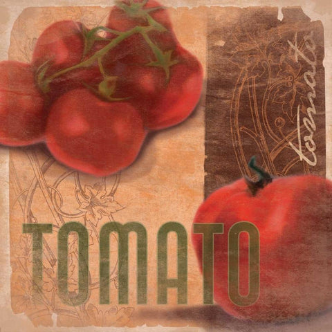 Tomato White Modern Wood Framed Art Print with Double Matting by Grey, Jace