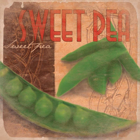 Sweet Pea White Modern Wood Framed Art Print by Grey, Jace