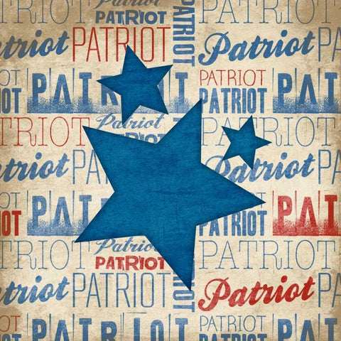 Patriot White Modern Wood Framed Art Print by Grey, Jace