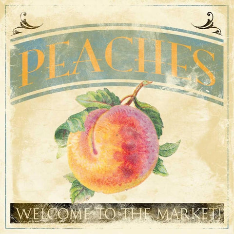 Peaches White Modern Wood Framed Art Print with Double Matting by Grey, Jace