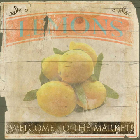 Lemons 2 White Modern Wood Framed Art Print with Double Matting by Grey, Jace