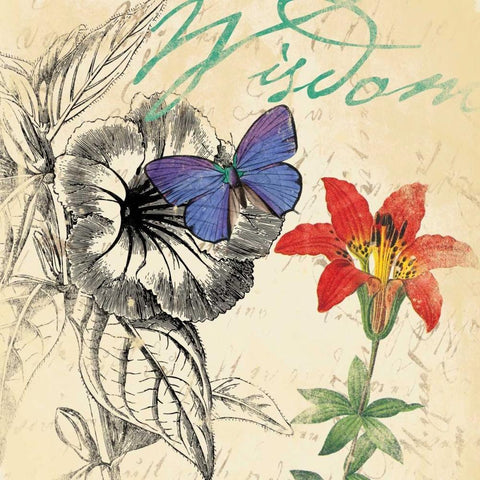 Wisdom floral Black Ornate Wood Framed Art Print with Double Matting by Grey, Jace