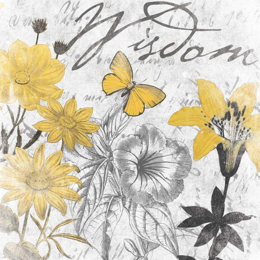 Image Only