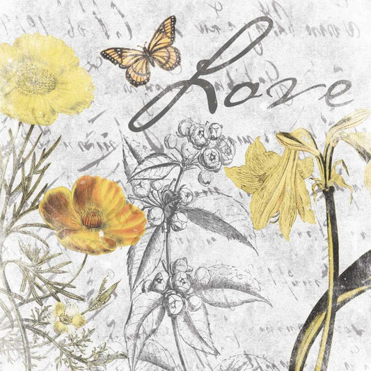 Image Only