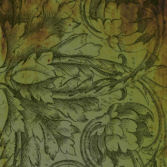 Image Only