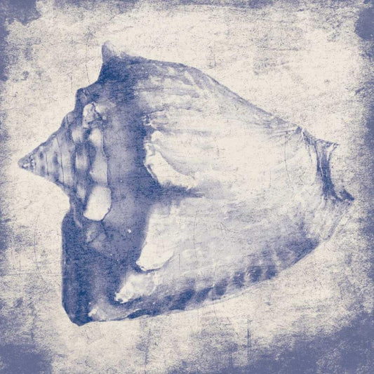 Image Only