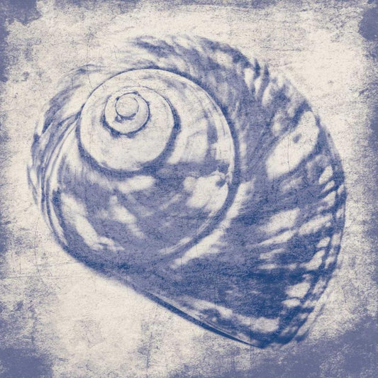 Image Only