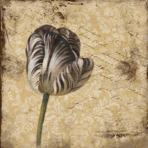 flower1 Black Ornate Wood Framed Art Print with Double Matting by Grey, Jace