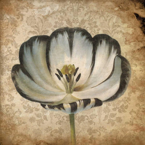 Flower 2 Black Ornate Wood Framed Art Print with Double Matting by Grey, Jace