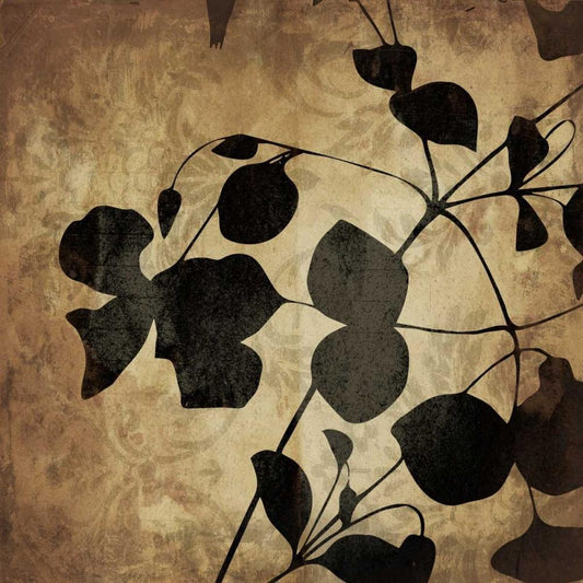 Image Only
