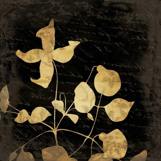 Image Only