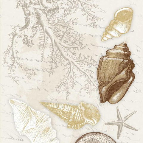 Shel 1 White Modern Wood Framed Art Print by Grey, Jace