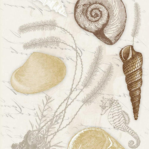 Shell 2 Gold Ornate Wood Framed Art Print with Double Matting by Grey, Jace