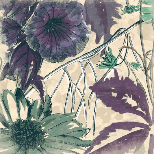Image Only