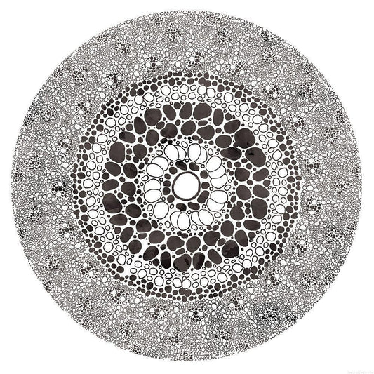 Image Only
