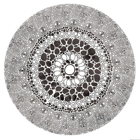 Image Only