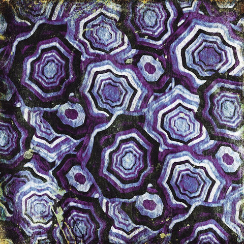 Mix Of Purple Chips White Modern Wood Framed Art Print with Double Matting by Grey, Jace