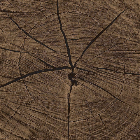 Dark Rings White Modern Wood Framed Art Print with Double Matting by Grey, Jace