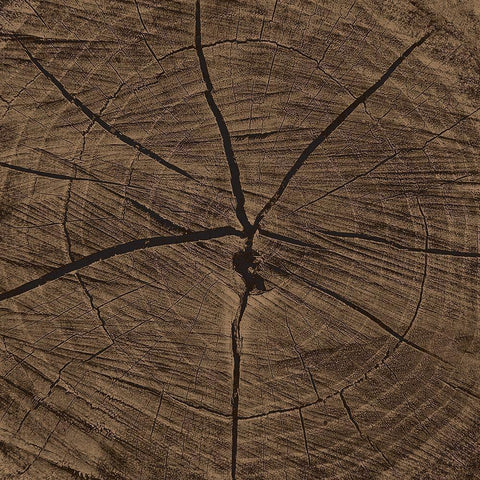 Dark Rings Black Modern Wood Framed Art Print by Grey, Jace