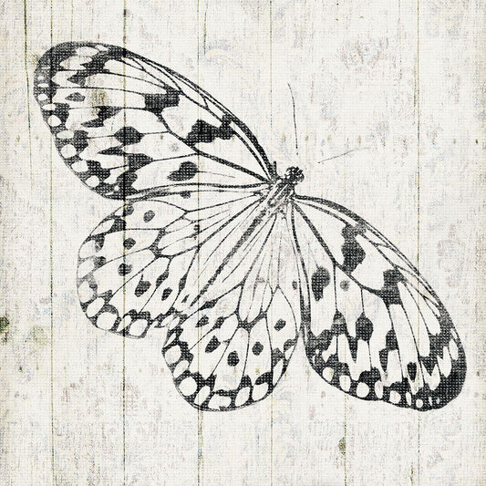 Image Only