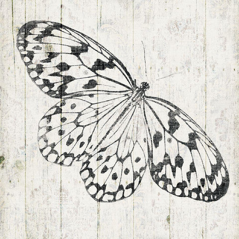 Butterfly Board Black Modern Wood Framed Art Print by Grey, Jace