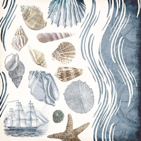 Coastal Waves Mate Black Ornate Wood Framed Art Print with Double Matting by Grey, Jace