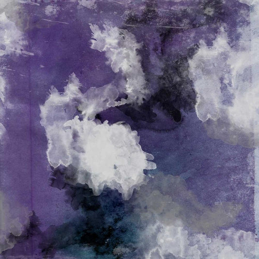 Image Only