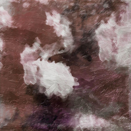 Image Only