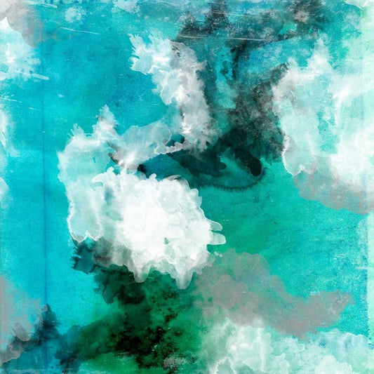 Image Only