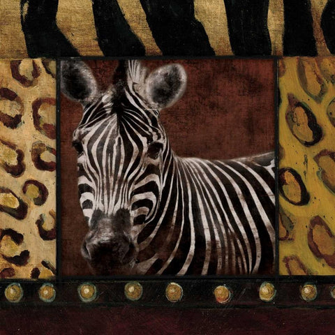 Zebra bordered Gold Ornate Wood Framed Art Print with Double Matting by Grey, Jace