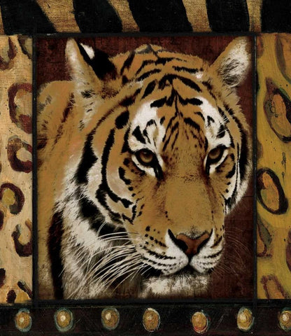 Tiger bordered Black Ornate Wood Framed Art Print with Double Matting by Grey, Jace