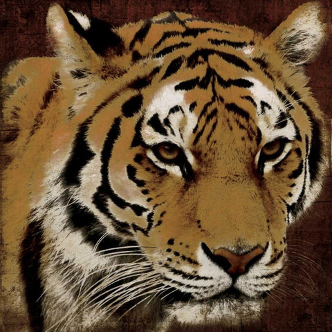 Tiger Gold Ornate Wood Framed Art Print with Double Matting by Grey, Jace