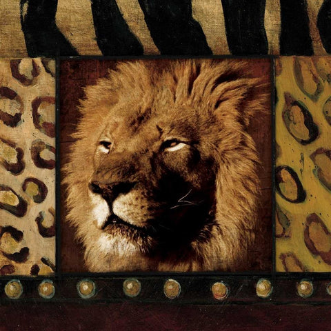 Lion Bordered Black Ornate Wood Framed Art Print with Double Matting by Grey, Jace