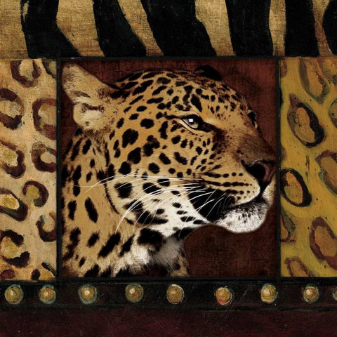 Leopard bordered White Modern Wood Framed Art Print with Double Matting by Grey, Jace