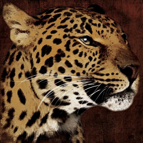 Leopard White Modern Wood Framed Art Print with Double Matting by Grey, Jace