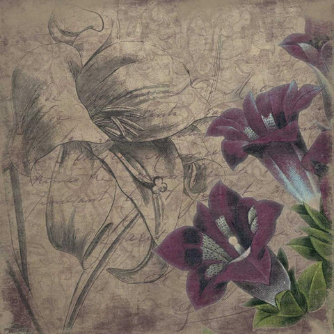 Floral outline 2 Black Modern Wood Framed Art Print by Grey, Jace