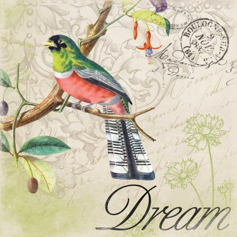 Bird1 White Modern Wood Framed Art Print with Double Matting by Grey, Jace